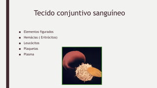 Tecido conjuntivo sanguíneo
■ Elementos figurados
■ Hemácias ( Eritrócitos)
■ Leucócitos
■ Plaquetas
■ Plasma
 