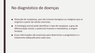 No diagnóstico de doenças
■ Detecção de neoplasias, que são tumores benignos ou malignos que se
originam a partir de células anormais.
■ A histologia animal pode identificar o tipo de neoplasia, o grau de
diferenciação celular, o potencial invasivo e metastático, a origem
tecidual.
■ Essas informações são essenciais para determinar o prognóstico e o
tratamento adequado para cada caso.
 