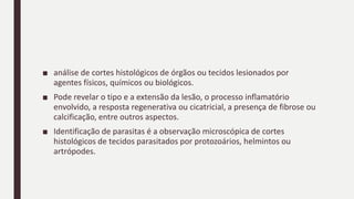 ■ análise de cortes histológicos de órgãos ou tecidos lesionados por
agentes físicos, químicos ou biológicos.
■ Pode revelar o tipo e a extensão da lesão, o processo inflamatório
envolvido, a resposta regenerativa ou cicatricial, a presença de fibrose ou
calcificação, entre outros aspectos.
■ Identificação de parasitas é a observação microscópica de cortes
histológicos de tecidos parasitados por protozoários, helmintos ou
artrópodes.
 
