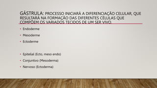 GÁSTRULA: PROCESSO INICIARÁ A DIFERENCIAÇÃO CELULAR, QUE
RESULTARÁ NA FORMAÇÃO DAS DIFERENTES CÉLULAS QUE
COMPÕEM OS VARIADOS TECIDOS DE UM SER VIVO.
• Endoderme
• Mesoderme
• Ectoderme
• Epitelial (Ecto, meso endo)
• Conjuntivo (Mesoderma)
• Nervoso (Ectoderma)
 