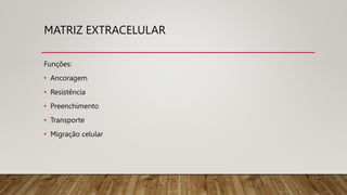 MATRIZ EXTRACELULAR
Funções:
• Ancoragem
• Resistência
• Preenchimento
• Transporte
• Migração celular
 