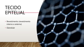 TECIDO
EPITELIAL
• Revestimento (revestimento
interno e externo)
• Glandular
 