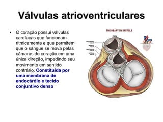 Válvulas atrioventriculares
• O coração possui válvulas
cardíacas que funcionam
ritmicamente e que permitem
que o sangue se mova pelas
câmaras do coração em uma
única direção, impedindo seu
movimento em sentido
contrário. Constituída por
uma membrana de
endocárdio e tecido
conjuntivo denso
 