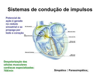 Sistemas de condução de impulsos
Potencial de
ação é gerado
no nódulo
sinoatrial e se
propaga por
todo o coração
Despolarização das
células musculares
cardíacas especializadas:
70X/min Simpático ↑ Parassimpático↓
 