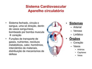Sistema Cardiovascular
Aparelho circulatório
• Sistema fechado, circula o
sangue, uma só direção, dentro
de vasos sanguíneos,
bombeado por bomba muscular
 coração
• Funções de transporte de
gases, nutrientes, resíduos
metabólicos, calor, hormônios,
intercâmbio de materiais,
distribuição de mecanismos de
defesa
• Sistemas
– Arterial
– Venoso
– Linfático
• Órgãos
– Coração
– Vasos
• Artérias
• Capilares
• Veias
 