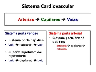 Artérias  Capilares  Veias
Sistema porta venoso
• Sistema porta hepático
• veia  capilares  veia
• S. porta hipotalâmico-
hipofisiário
• veia  capilares  veia
Sistema porta arterial
• Sistema porta arterial
dos rins
– arteríola  capilares 
arteríola
Sistema Cardiovascular
 