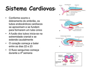 Sistema Cardiovascular
• Conforme ocorre o
dobramento do embrião, os
tubos endocárdicos cardíacos
se aproximam e se fundem
para formarem um tubo único
• A fusão dos tubos inicia-se na
extremidade cranial e se
estende caudalmente
• O coração começa a bater
entre os dias 22 e 23
• O fluxo sanguíneo começa
durante a 4ª semana
 