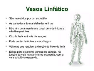 Vasos Linfático
• São revestidos por um endotélio
• As camadas são mal definidas e finas
• Não têm uma membrana basal bem definidas e
não têm pericitos
• Circula linfa ao invés de sangue
• Pode conter linfócitos e macrófagos
• Válvulas que regulam a direção do fluxo da linfa
• Escoa para o sistema venoso de sangue, na
junção da veia jugular interna esquerda, com a
veia subclávia esquerda.
 
