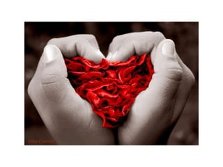 histologia cardiovascular.pptx