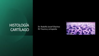 HISTOLOGÍA
CARTÍLAGO
Dr. Rodolfo Jassef Olachea
R1 Trauma y ortopedia
 