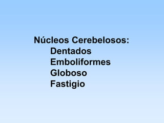 Núcleos Cerebelosos:
   Dentados
   Emboliformes
   Globoso
   Fastigio
 