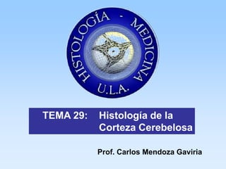 TEMA 29:   Histología de la
           Corteza Cerebelosa

           Prof. Carlos Mendoza Gaviria
 