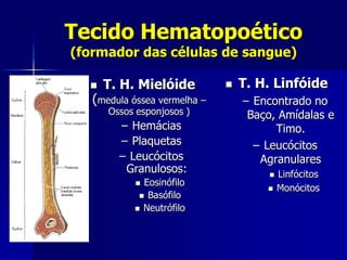 Tecido Hematopoético
(formador das células de sangue)

     T. H. Mielóide             T. H. Linfóide
   (medula óssea vermelha –       – Encontrado no
      Ossos esponjosos )           Baço, Amídalas e
        – Hemácias                      Timo.
        – Plaquetas                 – Leucócitos
        – Leucócitos                 Agranulares
         Granulosos:                     Linfócitos
            Eosinófilo
                                         Monócitos
             Basófilo
            Neutrófilo
 