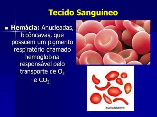 Tecido Sanguíneo
   Hemácia: Anucleadas,
        bicôncavas, que
    possuem um pigmento
     respiratório chamado
          hemoglobina
       responsável pelo
       transporte de O2
             e CO2.
 