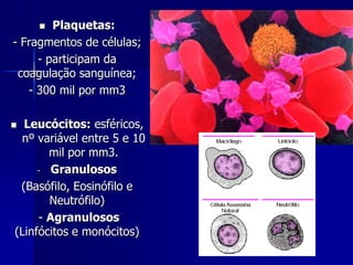    Plaquetas:
- Fragmentos de células;
     - participam da
 coagulação sanguínea;
   - 300 mil por mm3

 Leucócitos: esféricos,
 nº variável entre 5 e 10
       mil por mm3.
     - Granulosos

 (Basófilo, Eosinófilo e
       Neutrófilo)
     - Agranulosos
(Linfócitos e monócitos)
 