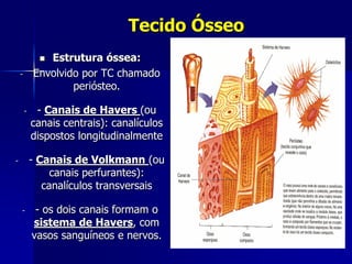 Tecido Ósseo
              Estrutura óssea:
    -       Envolvido por TC chamado
                    periósteo.

        -    - Canais de Havers (ou
            canais centrais): canalículos
            dispostos longitudinalmente

-           - Canais de Volkmann (ou
                 canais perfurantes):
               canalículos transversais

    -        - os dois canais formam o
            sistema de Havers, com
            vasos sanguíneos e nervos.
 