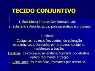 TECIDO CONJUNTIVO
            Substância intercelular: formada por:
    a. Substância Amorfa: água, polissacarídeos e proteínas;

                            b. Fibras:
        - Colágenas: as mais frequentes, de coloração
        esbranquiçada, formadas por proteínas colágeno,
                       resistentes à tração;
-   Elásticas: de coloração amarelada, formada por elastina,
                    cedem facilmente à tração
    - Reticulares: as mais finas, formadas por reticulina.
 