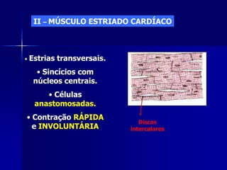 II – MÚSCULO ESTRIADO CARDÍACO



•   Estrias transversais.
      • Sincícios com
     núcleos centrais.
        • Células
     anastomosadas.
• Contração RÁPIDA
                               Discos
  e INVOLUNTÁRIA            intercalares
 