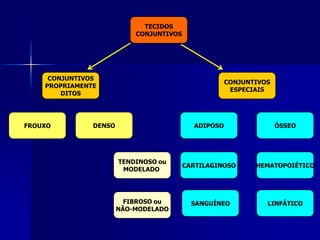 TECIDOS
                           CONJUNTIVOS




     CONJUNTIVOS
                                                     CONJUNTIVOS
    PROPRIAMENTE
                                                      ESPECIAIS
        DITOS




FROUXO         DENSO                       ADIPOSO                 ÓSSEO




                       TENDINOSO ou
                                         CARTILAGINOSO      HEMATOPOIÉTICO
                        MODELADO




                         FIBROSO ou        SANGUÍNEO           LINFÁTICO
                       NÃO-MODELADO
 