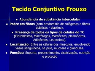 Tecido Conjuntivo Frouxo
         Abundância de substância intercelular
   Pobre em fibras (com predomínio de colágenas e fibras
                      elásticas - elastina).
      Presença de todos os tipos de células do TC
      (Fibroblastos, Macrófagos, Mastócitos, plasmócitos,
                    Adipócitos, Leucócitos).
   Localização: Entre as células dos músculos, envolvendo
       vasos sanguíneos, na pele, mucosas e glândulas.
   Funções: Suporte, preenchimento, cicatrização, nutrição
                           e proteção
 