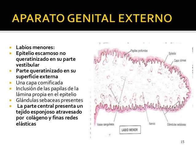 Evolution by natural selection : confidence, evidence and