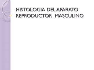 HISTOLOGIA DEL APARATOHISTOLOGIA DEL APARATO
REPRODUCTOR MASCULINOREPRODUCTOR MASCULINO
 
