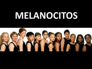 MELANOCITOS
 