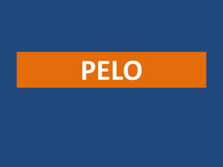 PELO
 