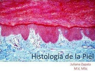 Histología de la Piel 
Juliana Zapata 
M.V, MSc 
 