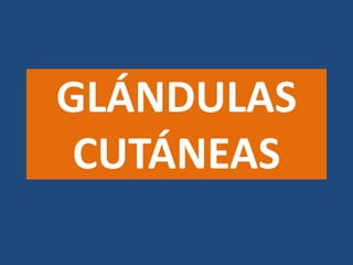 GLÁNDULAS
CUTÁNEAS
 