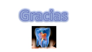 HISTOLOGÍA DE LA PULPA