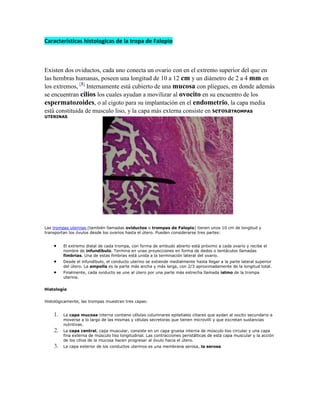 Características histologicas de la tropa de Falopio<br />14141451266190Existen dos oviductos, cada uno conecta un ovario con en el extremo superior del que en las hembras humanas, poseen una longitud de 10 a 12 cm y un diámetro de 2 a 4 mm en los extremos, [1] Internamente está cubierto de una mucosa con pliegues, en donde además se encuentran cilios los cuales ayudan a movilizar al ovocito en su encuentro de los espermatozoides, o al cigoto para su implantación en el endometrio, la capa media está constituida de musculo liso, y la capa más externa consiste en serosaTROMPAS UTERINAS<br />Las trompas uterinas (también llamadas oviductos o trompas de Falopio) tienen unos 10 cm de longitud y transportan los óvulos desde los ovarios hasta el útero. Pueden considerarse tres partes: <br />El extremo distal de cada trompa, con forma de embudo abierto está próximo a cada ovario y recibe el nombre de infundíbulo. Termina en unas proyecciones en forma de dedos o tentáculos llamadas fimbrias. Una de estas fimbrias está unida a la terminación lateral del ovario. <br />Desde el infundíbulo, el conducto uterino se extiende medialmente hasta llegar a la parte lateral superior del útero. La ampolla es la parte más ancha y más larga, con 2/3 aproximadamente de la longitud total. <br />Finalmente, cada oviducto se une al útero por una parte más estrecha llamada istmo de la trompa uterina. <br />Histología<br />Histológicamente, las trompas muestran tres capas: <br />La capa mucosa interna contiene células columnares epiteliales ciliares que aydan al oocito secundario a moverse a lo largo de las mismas y células secretoras que tienen microvilli y que excretan sustancias nutritivas. <br />La capa central, capa muscular, consiste en un capa gruesa interna de músculo liso circular y una capa fina externa de músculo liso longitudinal. Las contracciones peristálticas de esta capa muscular y la acción de los cilios de la mucosa hacen progresar al óvulo hacia el útero. <br />La capa exterior de los conductos uterinos es una membrana serosa, la serosa <br />2736215323215  Fisiología de la vesícula Biliar16393253397 La vesícula biliar no es un órgano vital, puede ser extirpada sin producir mayores molestias. Sirve como reservorio de la bilis secretada por el hígado, la cual es concentrada hasta la décima parte mediante la absorción de agua; la presencia de alimentos ingeridos, especialmente grasas, durante la digestión producen la contracción de la vesícula, gracias a su capa muscular, eliminando la bilis concentrada a través del cístico hacia el colédoco y luego al duodeno. La contracción vesicular es estimulada por la Colecistoquinina, producida en el duodeno.<br />3143885370205 Estructura<br />Las paredes de la vesícula consisten en túnicas serosas, musculares y mucosas. El revestimiento mucoso se dispone en pliegues semejantes en estructura y función a las del estómago.<br /> Histología del colon <br />3143885274320No presenta glándulas, ni microvellosidades ni válvulas conniventes. Presenta, en la serosa, evaginaciones. Una evaginación llena de tejido adiposo constituye un apéndice epiploico.<br />En el intestino grueso hay una gran cantidad de células caliciformes. Las poblaciones celulares epiteliales son las mismas del intestino delgado.<br />A las criptas intestinales se les suele llamar criptas de Lieberkuhn, y algunos llegan a hablar de glándulas de Lieberkuhn.<br />3143885280035Neuronas estrelladas eferentes multipolares heterópodas forman parte de los ganglios intraparietales parasimpáticos.<br />