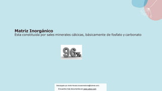 Matriz Inorgánico
Esta constituida por sales minerales cálcicas, básicamente de fosfato y carbonato
Descargado por Andre Novais (novaismedicina@hotmail.com)
Encuentra más documentos en www.udocz.com
 
