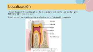 Localización
«l gsm»ltg ognt»l constitu;g l» o»rtg m»s gxtgrn» ogl oigntg ; sg loc»liz» gn l»
tot»lio»o og l» coron» ognt»l
Este cubre a manera de casquete a la dentina en su porción coronaria.
Descargado por Andre Novais (novaismedicina@hotmail.com)
Encuentra más documentos en www.udocz.com
 