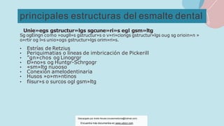 principales estructuras del esmalte dental
Unie»egs gstructur»lgs sgcune»ri»s egl gsm»ltg
Sg ogEingn como »ougll»s gstructur»s o v»ri»ciongs gstructur»lgs oug sg orioin»n »
o»rtir og l»s unio»ogs gstructur»lgs orim»ri»s.
• Estrías de Retzius
• Periquimatias o líneas de imbricación de Pickerill
• ”gn»chos og Linogrgr
• Ð»no»s og Huntgr-Schrgogr
• «sm»ltg nuooso
• Conexión amelodentinaria
• Husos »o»m»ntinos
• fiisur»s o surcos ogl gsm»ltg
Descargado por Andre Novais (novaismedicina@hotmail.com)
Encuentra más documentos en www.udocz.com
 