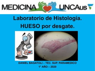 Laboratorio de Histología.
HUESO por desgate.
DANIEL BAGATOLI – TEC. SUP. PARAMEDICO
1° AÑO – 2020
 