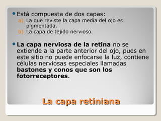 Está   compuesta de dos capas:
 a) La que reviste la capa media del ojo es
    pigmentada.
 b) La capa de tejido nervioso.

La capa nerviosa de la retina no se
 extiende a la parte anterior del ojo, pues en
 este sitio no puede enfocarse la luz, contiene
 células nerviosas especiales llamadas
 bastones y conos que son los
 fotorreceptores.



           La capa retiniana
 
