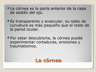 La córnea es la parte anterior de la capa
 de sostén del ojo.

Es  transparente y avascular, su radio de
 curvatura es más pequeño que el resto de
 la pared ocular.

Por estar descubierta, la córnea puede
 experimentar cortaduras, erosiones y
 traumatismos.


              La córnea
 