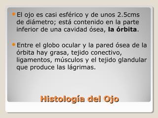 El ojo es casi esférico y de unos 2.5cms
 de diámetro; está contenido en la parte
 inferior de una cavidad ósea, la órbita.

Entre el globo ocular y la pared ósea de la
 órbita hay grasa, tejido conectivo,
 ligamentos, músculos y el tejido glandular
 que produce las lágrimas.




         Histología del Ojo
 