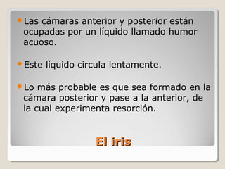 Las cámaras anterior y posterior están
 ocupadas por un líquido llamado humor
 acuoso.

Este   líquido circula lentamente.

Lo  más probable es que sea formado en la
 cámara posterior y pase a la anterior, de
 la cual experimenta resorción.


                   El iris
 