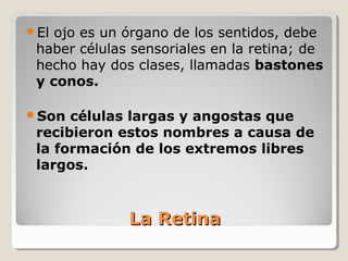 El ojo es un órgano de los sentidos, debe
 haber células sensoriales en la retina; de
 hecho hay dos clases, llamadas bastones
 y conos.

Son  células largas y angostas que
 recibieron estos nombres a causa de
 la formación de los extremos libres
 largos.



              La Retina
 