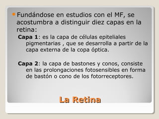 Fundándose en estudios con el MF, se
 acostumbra a distinguir diez capas en la
 retina:
 Capa 1: es la capa de células epiteliales
   pigmentarias , que se desarrolla a partir de la
   capa externa de la copa óptica.

 Capa 2: la capa de bastones y conos, consiste
   en las prolongaciones fotosensibles en forma
   de bastón o cono de los fotorreceptores.



                La Retina
 