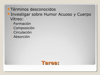 Términos  desconocidos
Investigar sobre Humor Acuoso y Cuerpo
 Vítreo:
 ◦   Formación
 ◦   Composición
 ◦   Circulación
 ◦   Absorción




                   Tarea:
 