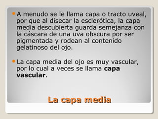 A  menudo se le llama capa o tracto uveal,
 por que al disecar la esclerótica, la capa
 media descubierta guarda semejanza con
 la cáscara de una uva obscura por ser
 pigmentada y rodean al contenido
 gelatinoso del ojo.

La capa media del ojo es muy vascular,
 por lo cual a veces se llama capa
 vascular.



           La capa media
 