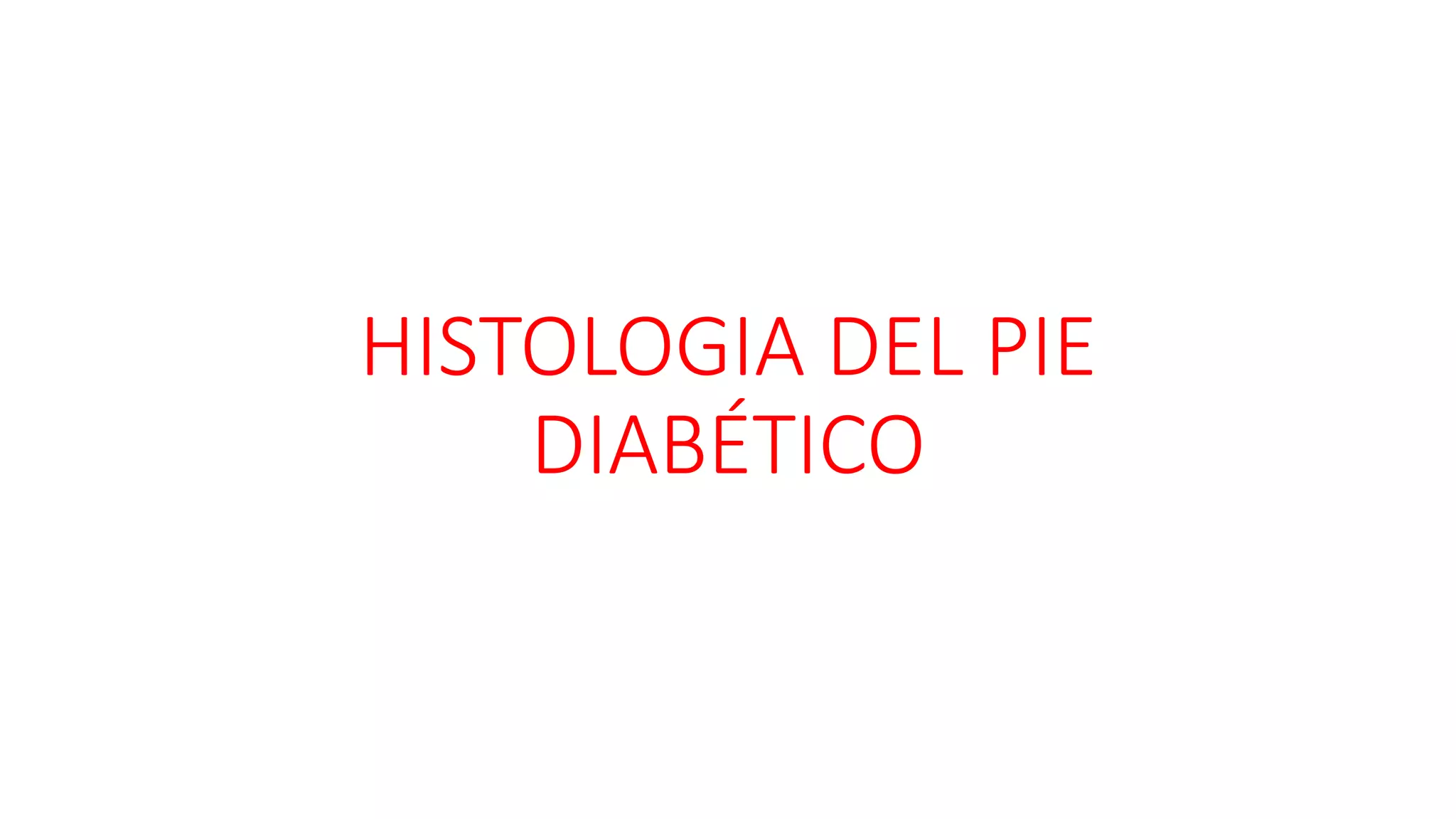 Histologia del pie diabético PPT