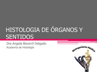 HISTOLOGIA DE ÓRGANOS Y
SENTIDOS
Dra Angela Becerril Delgado
Academia de Histología
 