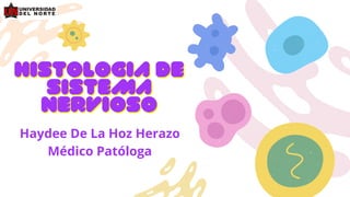 HISTOLOGIA DE
HISTOLOGIA DE
SISTEMA
SISTEMA
NERVIOSO
NERVIOSO
Haydee De La Hoz Herazo
Médico Patóloga
 