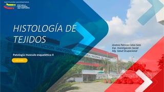 HISTOLOGÍA DE
TEJIDOS
Patología musculo esquelética II
Andrea Patricia Calvo Soto
Esp. Investigación Social
Mg. Salud Ocupacional
 