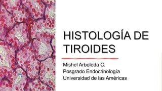 Mishel Arboleda C.
Posgrado Endocrinología
Universidad de las Américas
 
