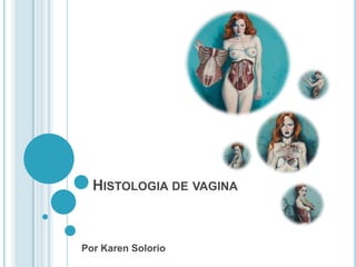 HISTOLOGIA DE VAGINA



Por Karen Solorio
 